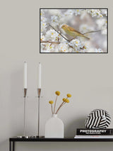 Spring is coming Poster och Canvastavla