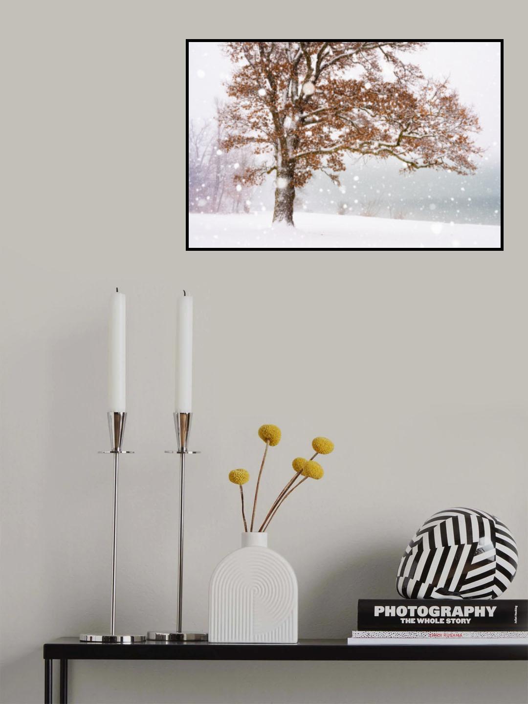 Winter at the lake Poster och Canvastavla