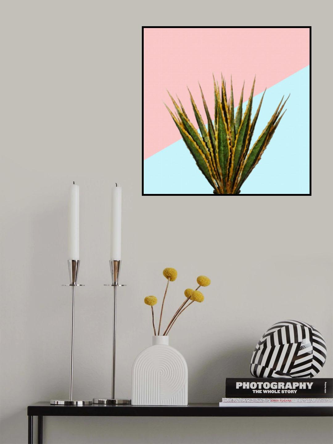 Agave 01 Poster och Canvastavla