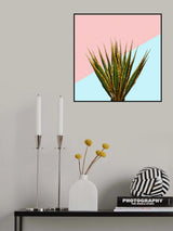 Agave 01 Poster och Canvastavla