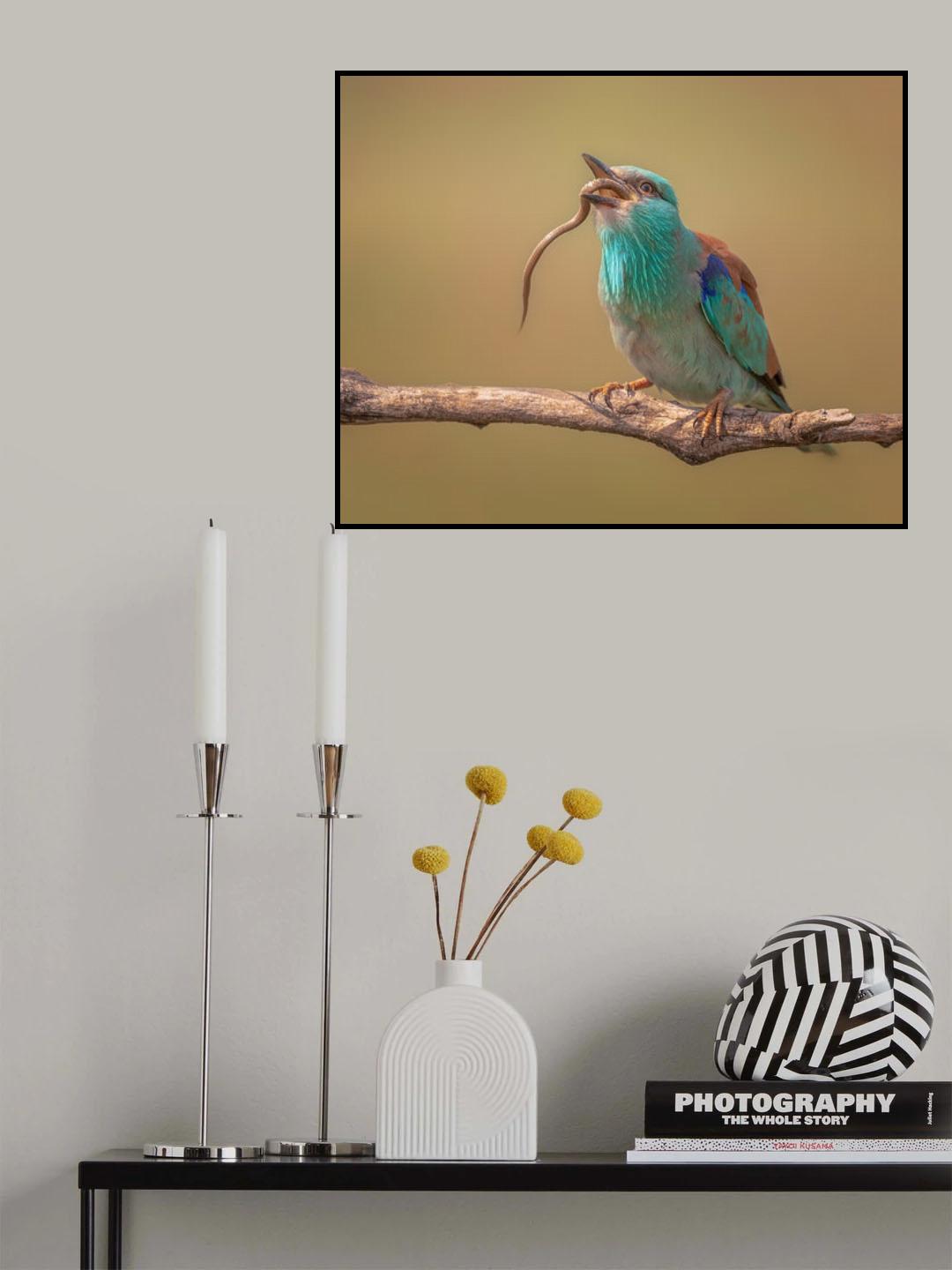 Delicacies Poster och Canvastavla