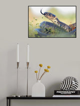 Grass Snake Portrait Poster och Canvastavla