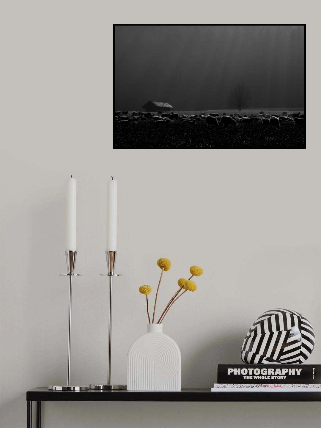 A foggy day Poster och Canvastavla