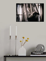 Hidden in a Veil Poster och Canvastavla