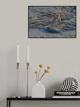 Jumping over the River Poster och Canvastavla