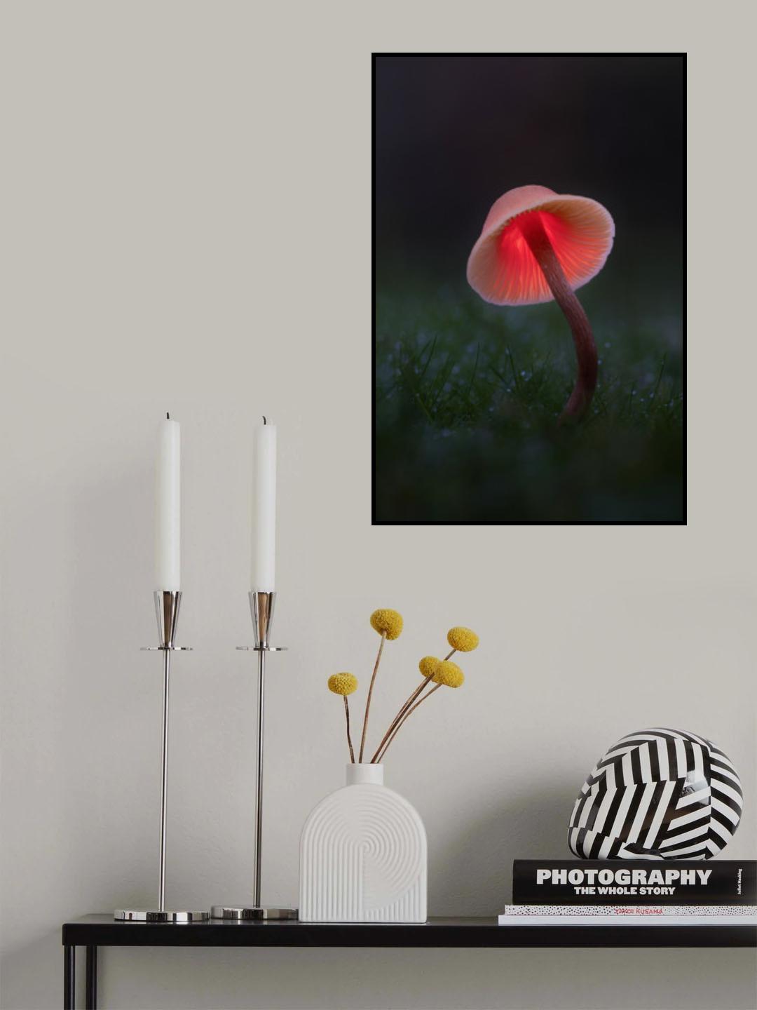 Light painting on a Mushroom Poster och Canvastavla