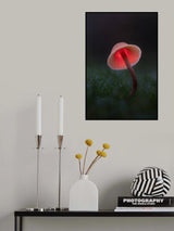 Light painting on a Mushroom Poster och Canvastavla