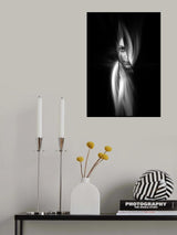 ...evanescent Poster och Canvastavla