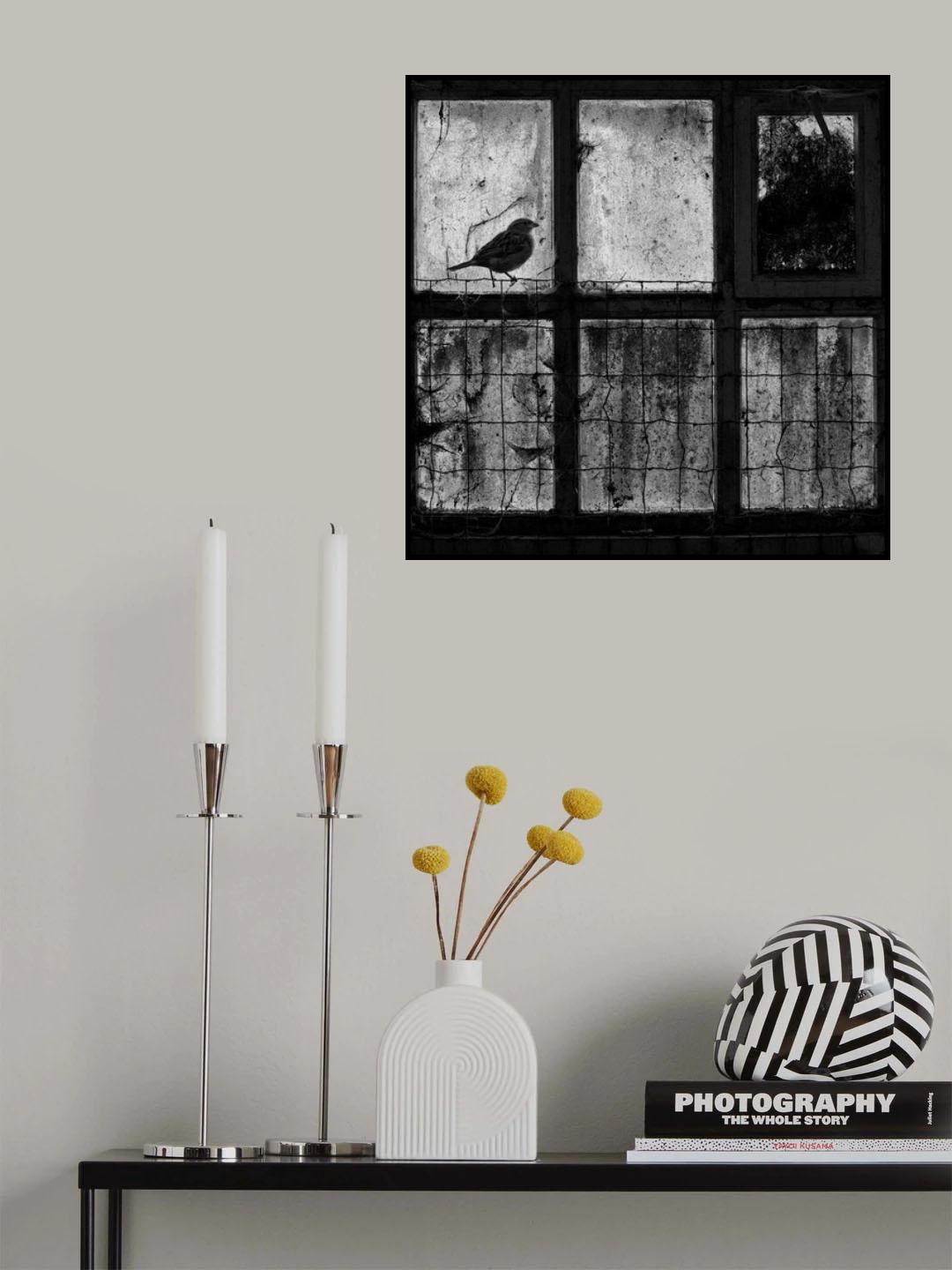 Viewless Poster och Canvastavla
