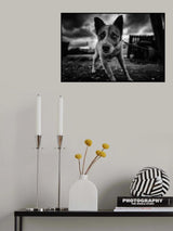 Project Lives on Hold Poster och Canvastavla