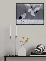 Dancing in the snow Poster och Canvastavla