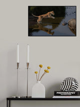 Jumping Poster och Canvastavla