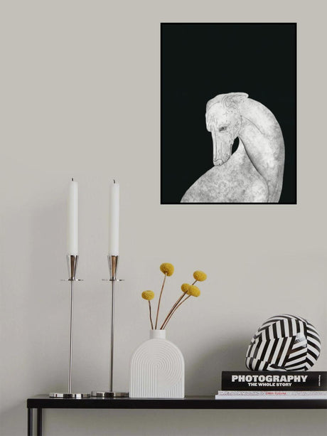 4 Poster och Canvastavla