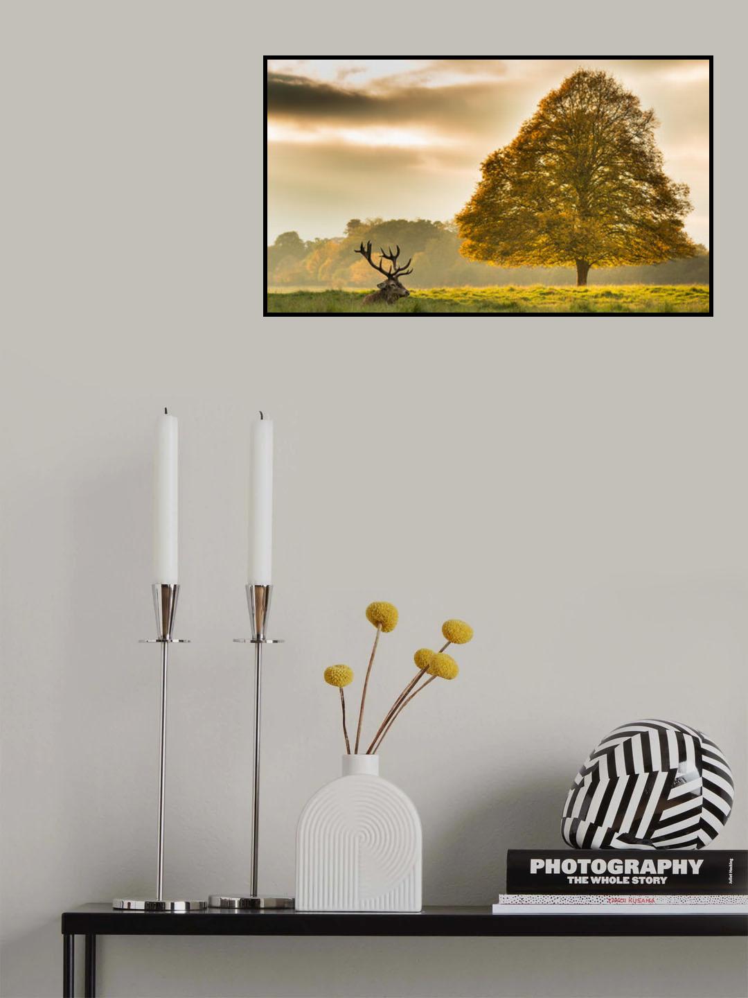 Poster och Canvastavla