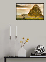 Poster och Canvastavla