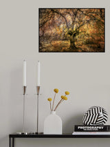 Abstraction Weeping Beech Poster och Canvastavla