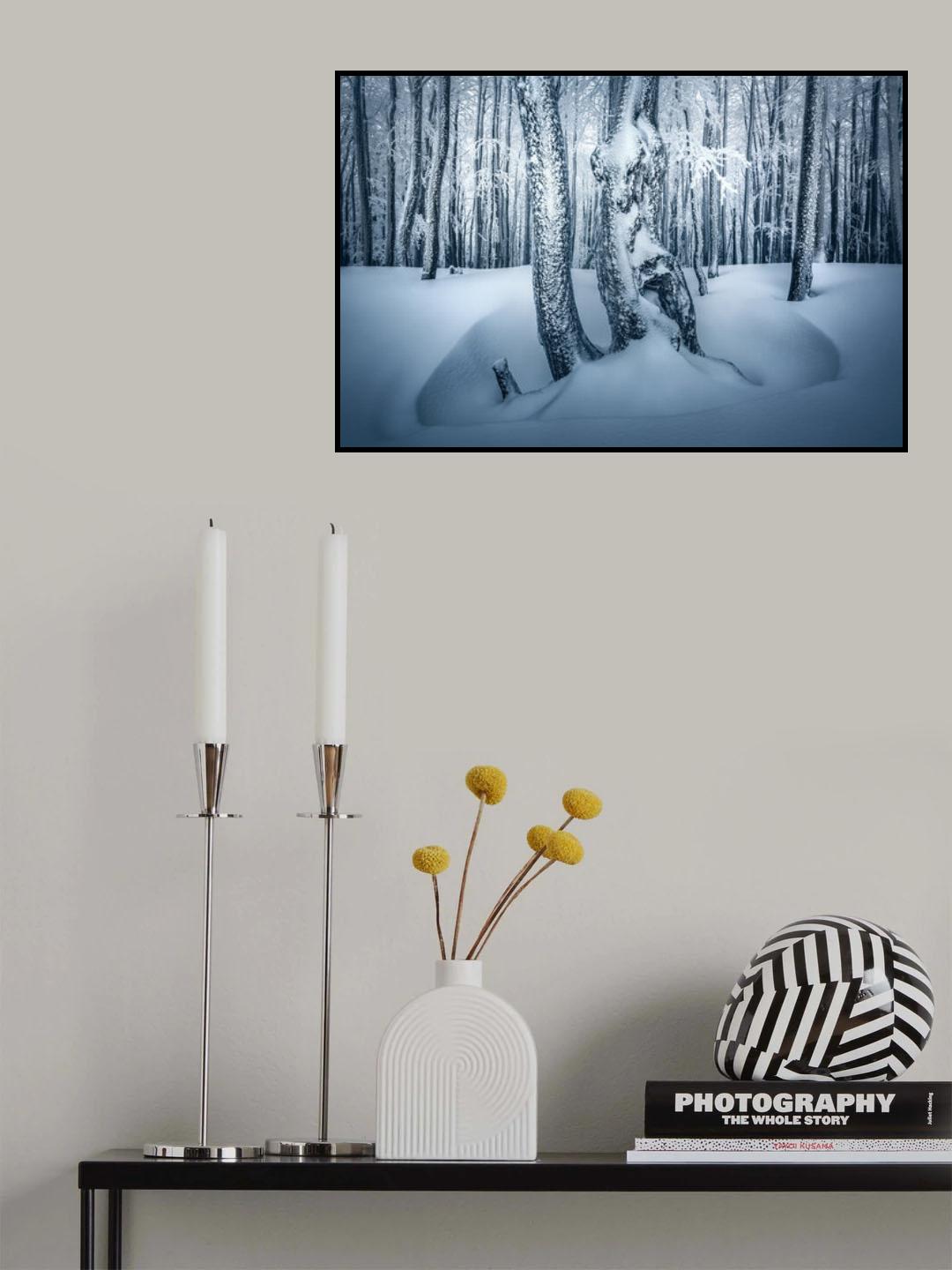 Magic Forest Poster och Canvastavla