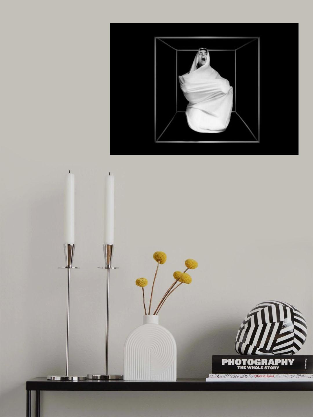 limitation Poster och Canvastavla