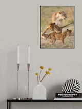 Cuties Poster och Canvastavla