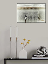 capanna di camargue Poster och Canvastavla