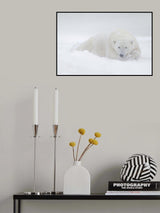 White Poster och Canvastavla
