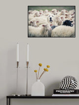 In disguise Poster och Canvastavla