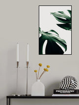 Monstera Natural 11 Poster och Canvastavla