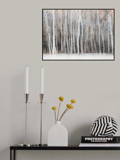Wintry Vision Poster och Canvastavla