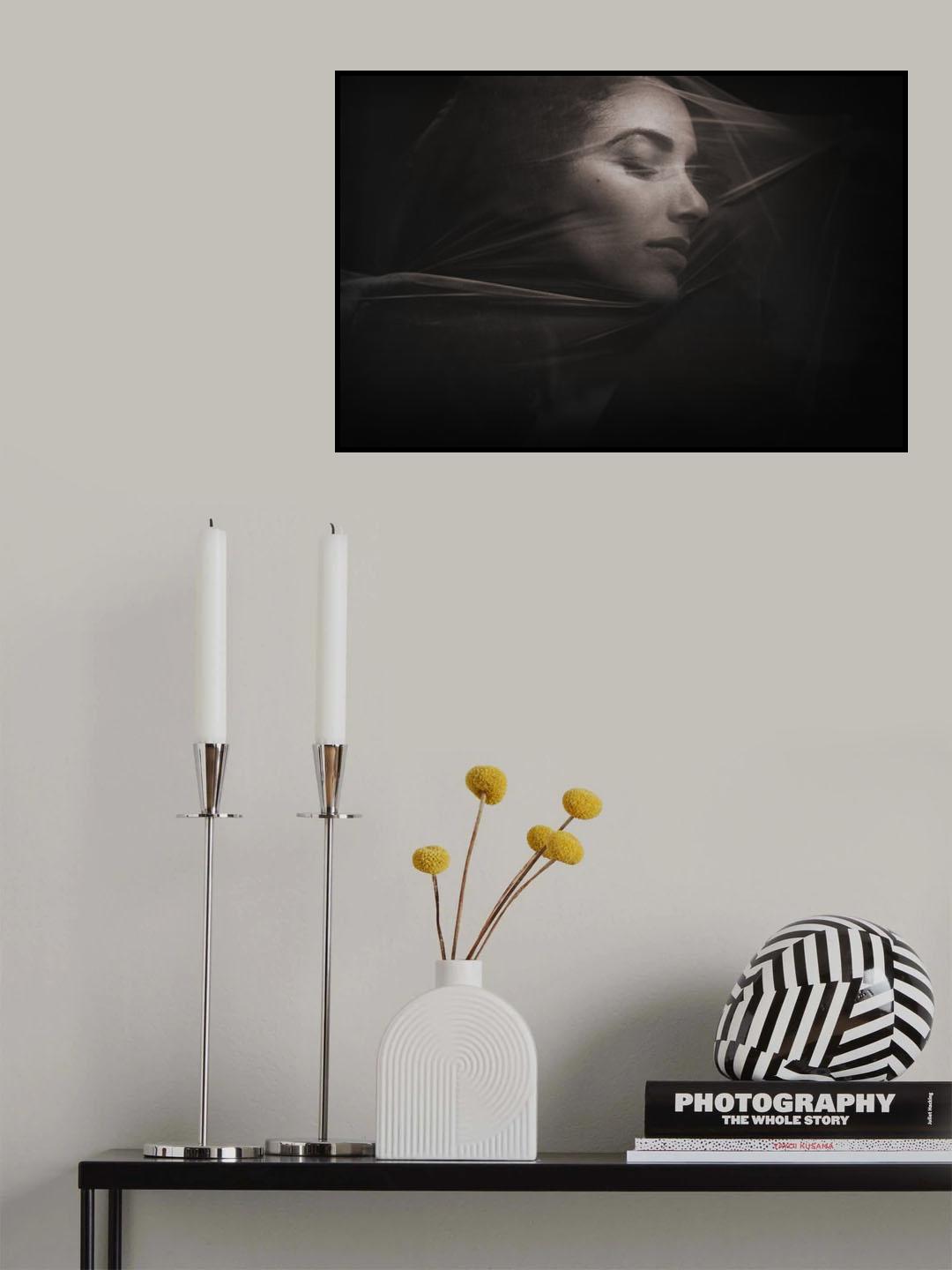 Brenda with tulle Poster och Canvastavla