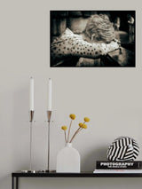DESPERATE PRAYER Poster och Canvastavla