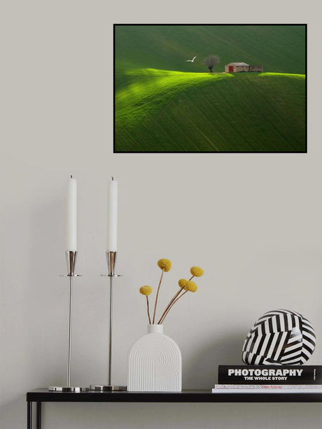 Harmony Poster och Canvastavla