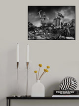 Eagles Poster och Canvastavla