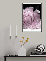 Enjoy the little things peony Poster och Canvastavla
