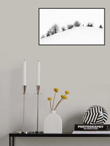 Winter Poster och Canvastavla