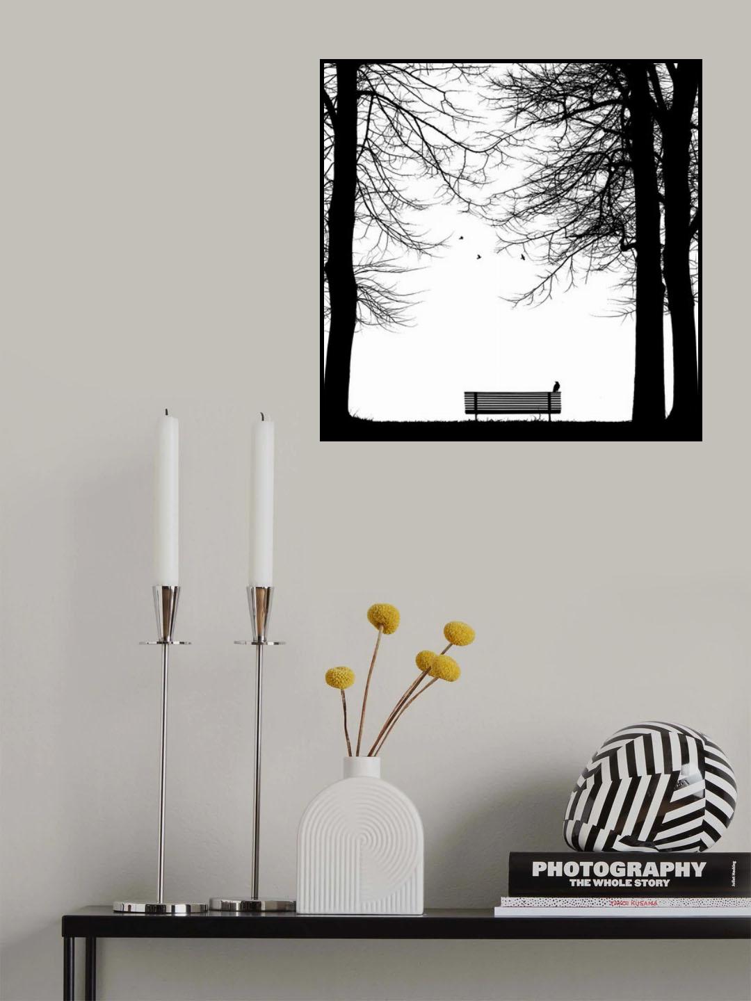 Il Corvo Poster och Canvastavla