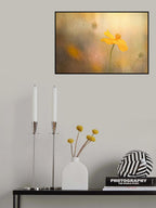 cosmos in rain Poster och Canvastavla