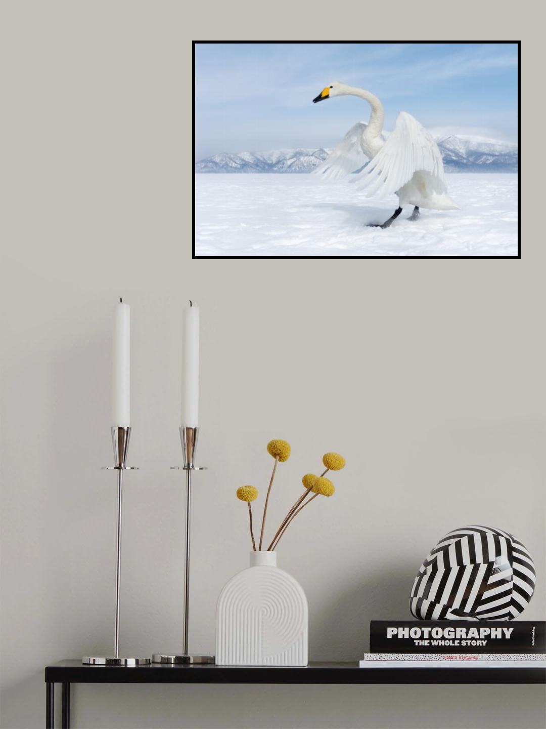 Dressed in white Poster och Canvastavla