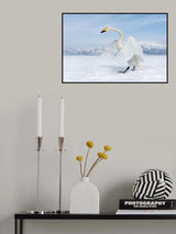 Dressed in white Poster och Canvastavla