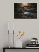 Lord of the Wasteland Poster och Canvastavla