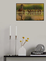 One big happy family Poster och Canvastavla