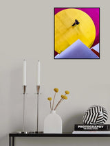 Urban's style 2 Poster och Canvastavla