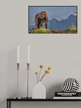 The lion monkey Poster och Canvastavla