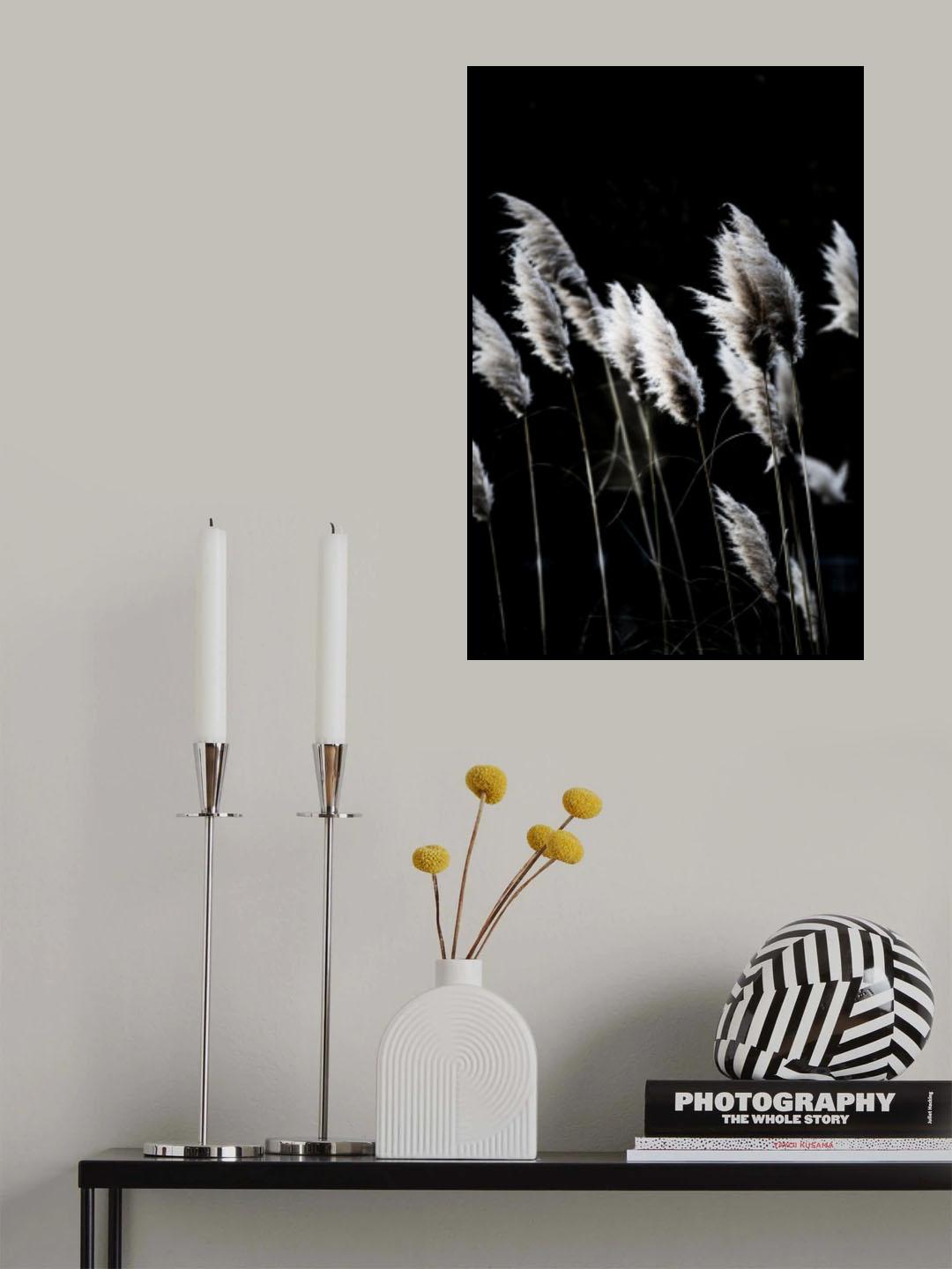 Grass 4 Poster och Canvastavla