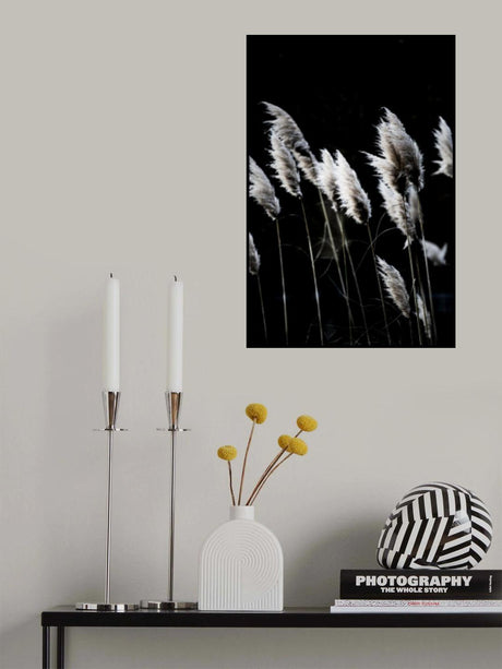 Grass 4 Poster och Canvastavla