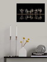 Buffaloes in the waterhole at night Poster och Canvastavla