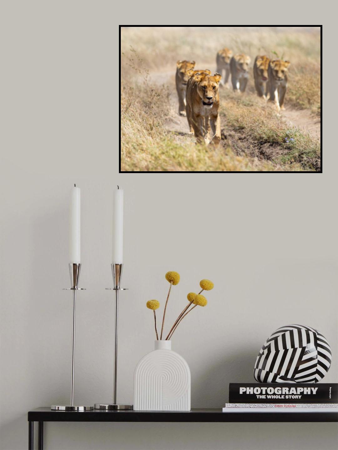 Royal Queens Poster och Canvastavla
