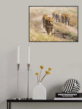 Royal Queens Poster och Canvastavla