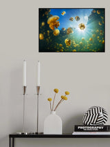 Sunlight and Jellyfish Poster och Canvastavla