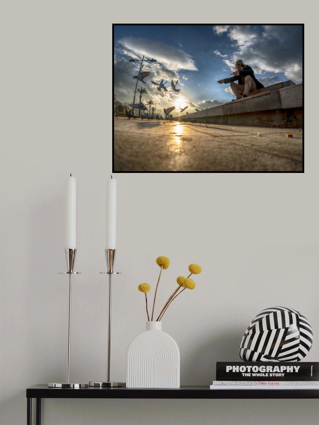 Feeding the seagulls Poster och Canvastavla