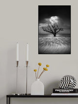 Oceanus Poster och Canvastavla